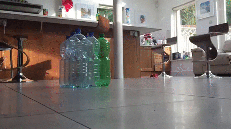 강아지 gif | 인스티즈