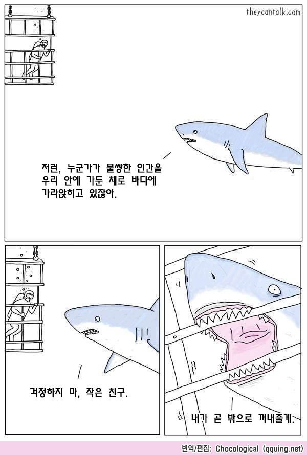 상어의 본심 | 인스티즈