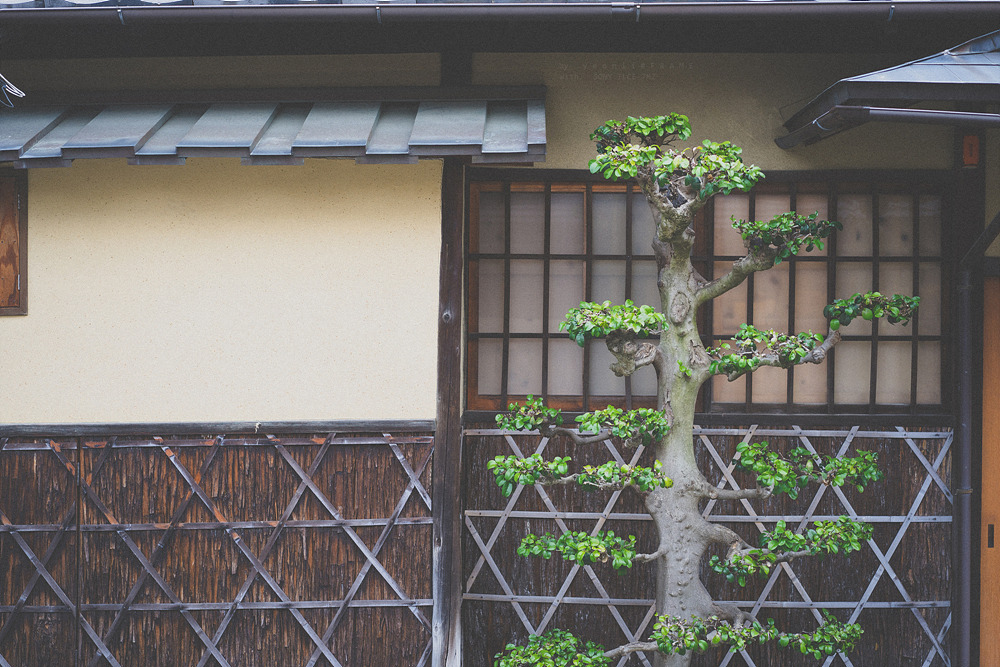 스냅사진 위주의 유치진지한 여행기 - 오사카&교토 (3) | 인스티즈