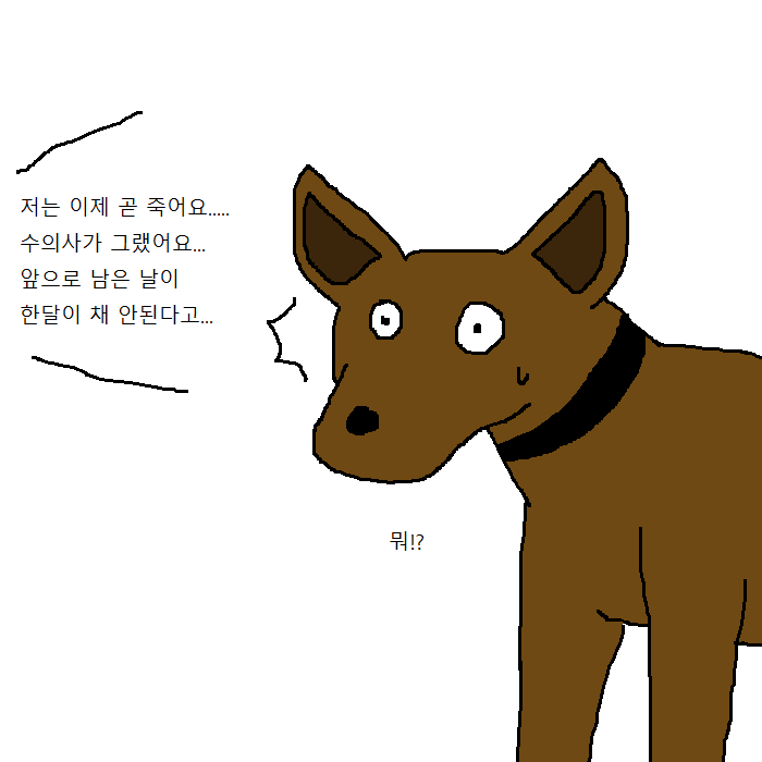 개꿈 레전드 | 인스티즈