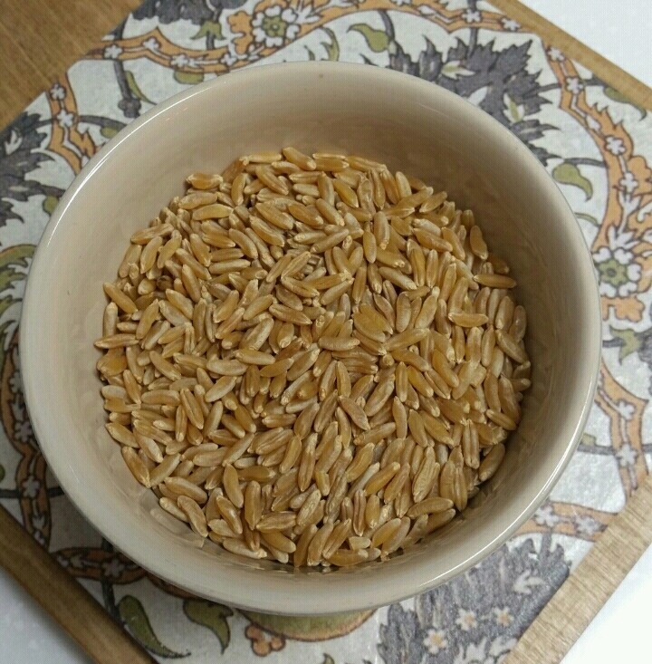 은실이네 이미지