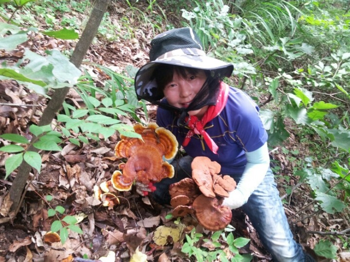 보보스 이미지