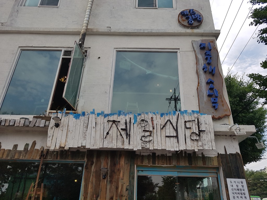 지중해소나무 이미지
