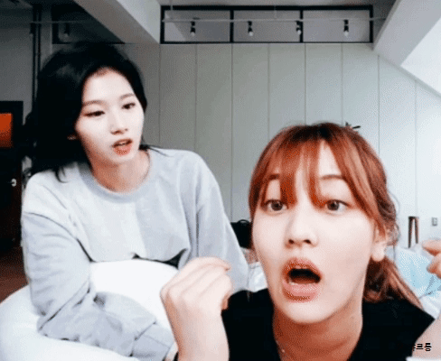 트와이스의 뽀뽀충 | 인스티즈