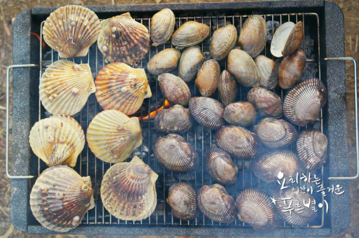 바다향가득한 이미지