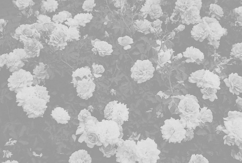 오랜 울음이 있어야 그 슬픔은 겨우겨우 다른 계절과 함께 지나간다 | 인스티즈