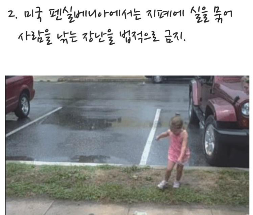 세계 황당한 법률 | 인스티즈