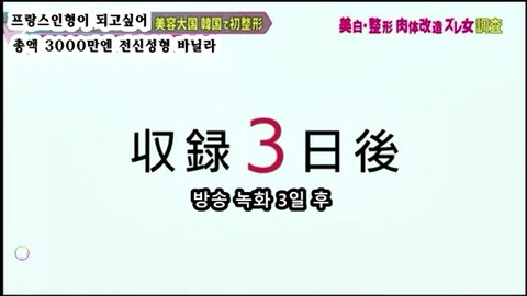프랑스 인형이 되고싶어 총액 3000만엔 전신성형한 바닐라 | 인스티즈