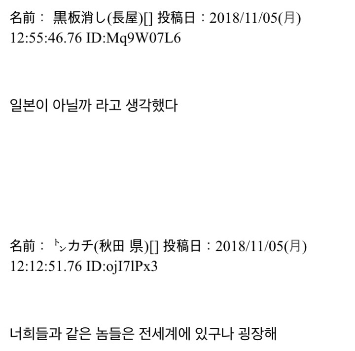 한국의 오타쿠 응원을 본 일본 반응 | 인스티즈