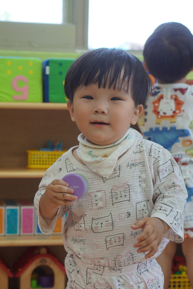 아마데우스악기 이미지