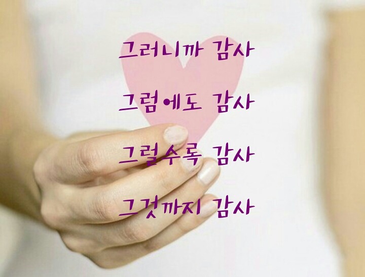 연영 이미지