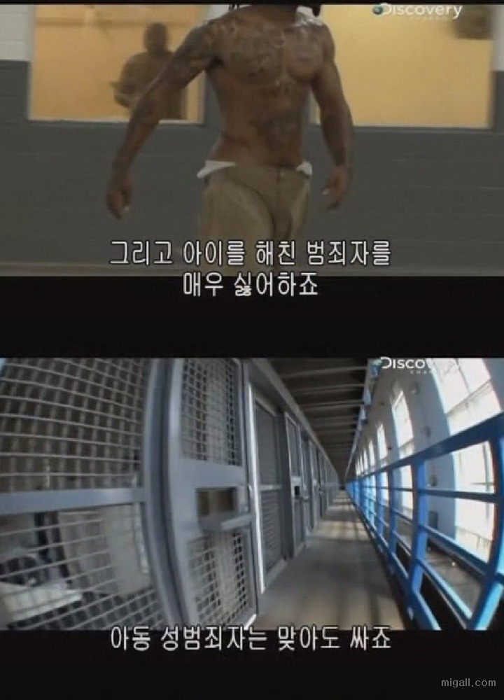 미국 교도소에 아동성범죄자가 들어가면 생기는일 | 인스티즈