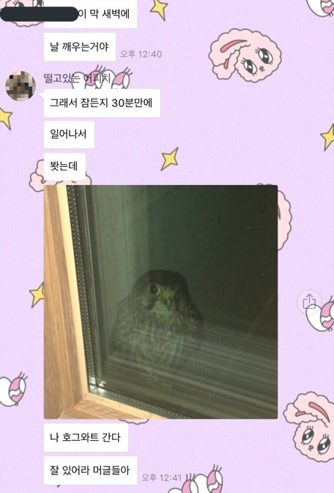 ????:잘 있어라 머글들아 | 인스티즈