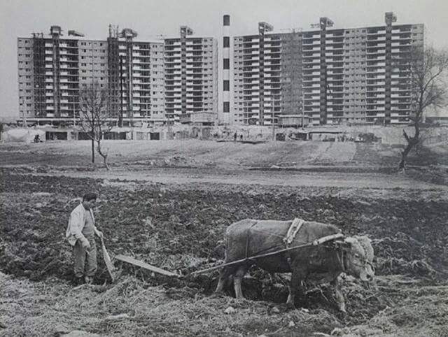 서울특별시 강남구의 옛 모습.jpg | 인스티즈