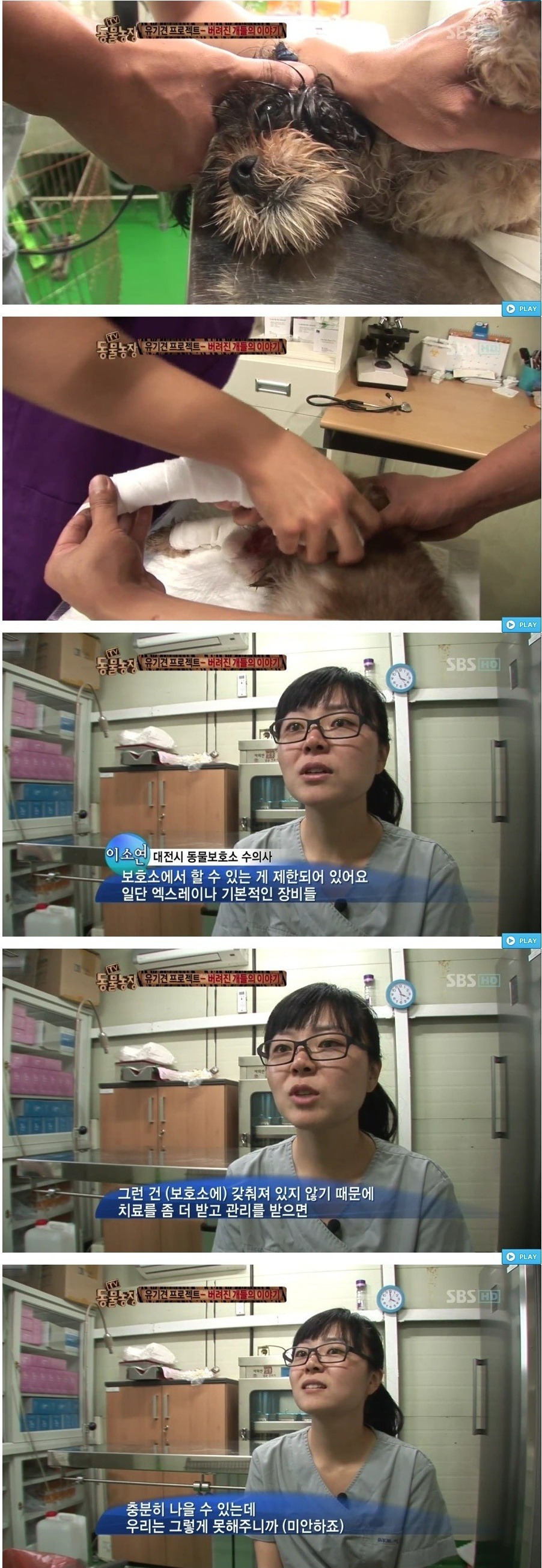 독한 마음을 먹지 않고서는 도저히 할 수 없는 직업 - 버려진 개들의 이야기.jpg | 인스티즈