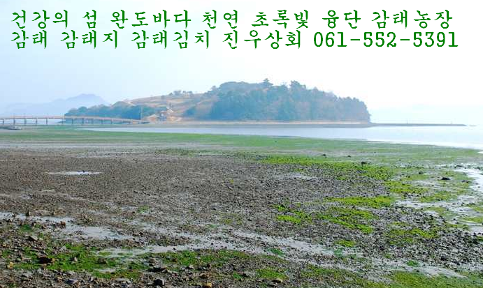 완도상회 이미지