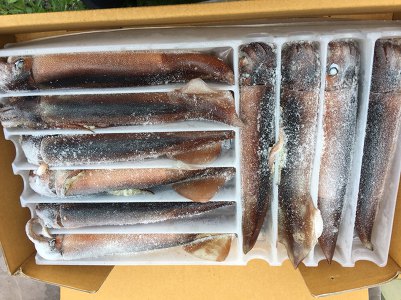 한국냉동 이미지