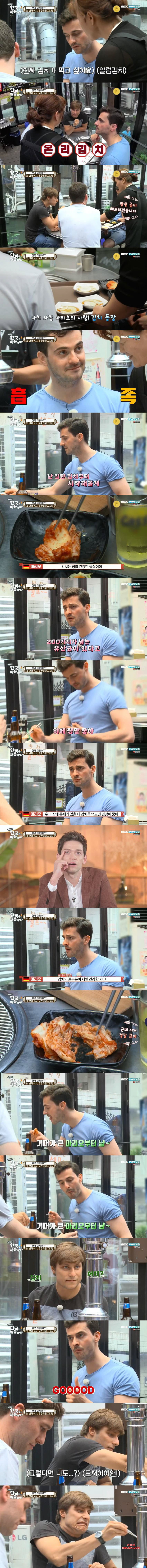 독일 여행객의 철저한 입국심사 준비 | 인스티즈