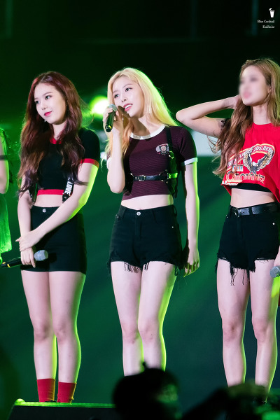 소나무 의진.jpg | 인스티즈