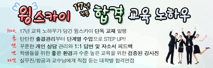 스카이윙 이미지