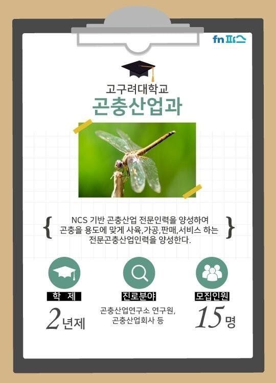 한국 대학교에 존재하는 이색적인 학과들 | 인스티즈