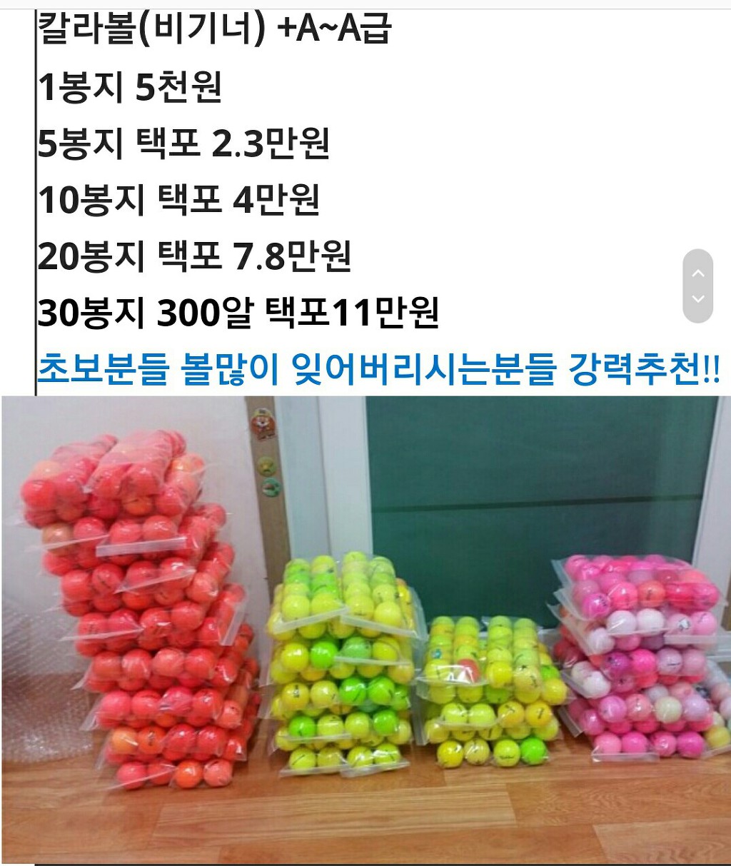 이글엑스 이미지