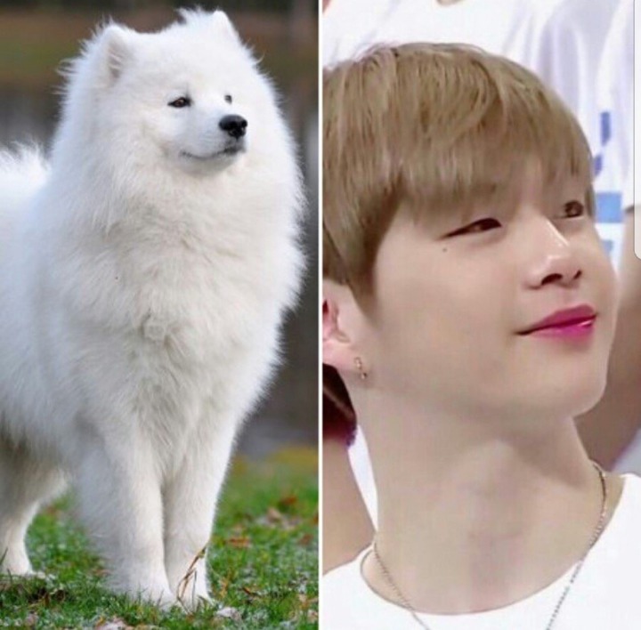 쿵떡쿵떡 이미지