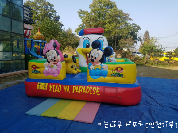 동산스포츠 이미지