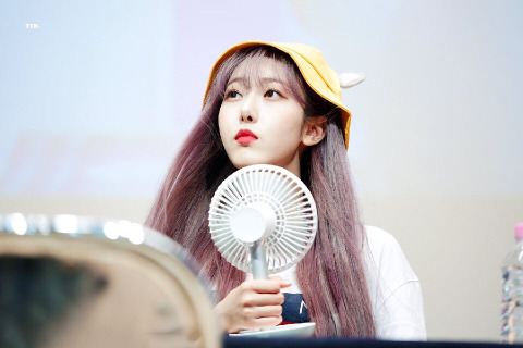 퀸비 이미지