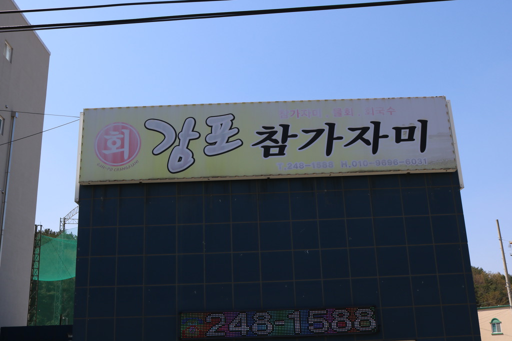 감포참가자미 이미지
