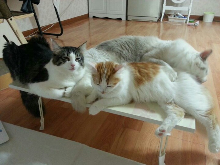 실수로 보일러 켜놓고 갔는데.jpg | 인스티즈