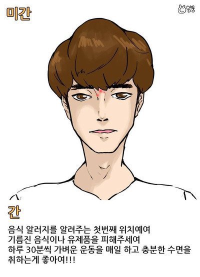 여드름 위치에 따른 건강상태 | 인스티즈