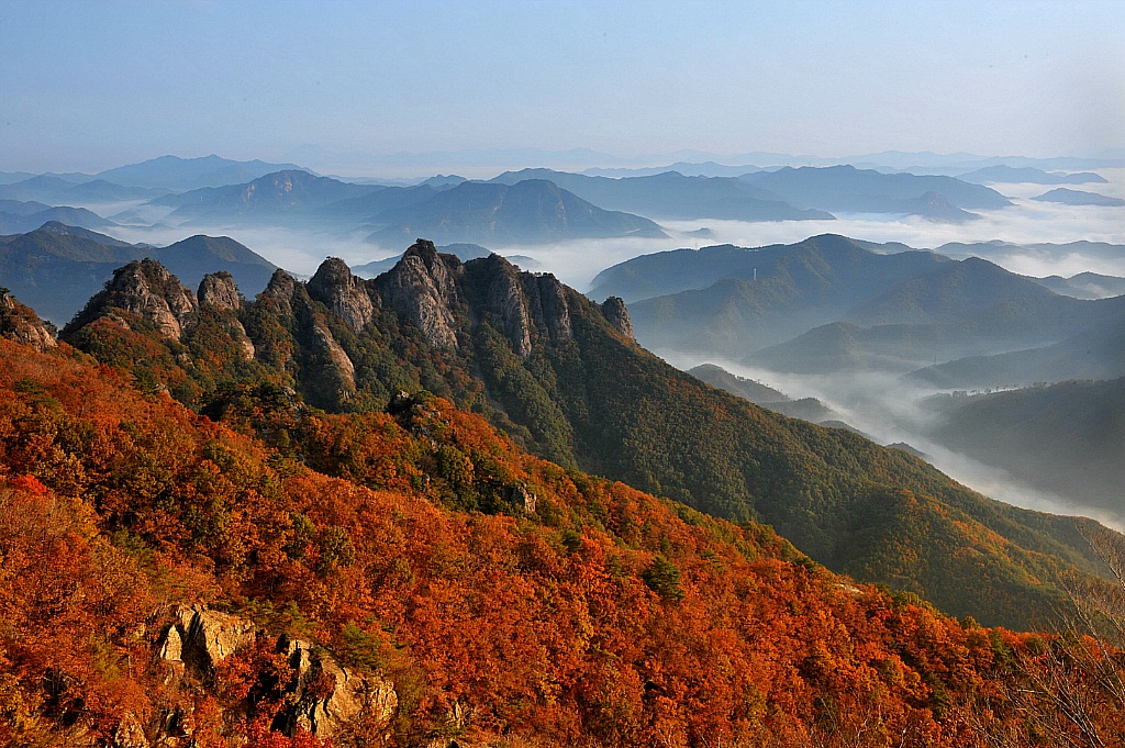 구봉산 이미지