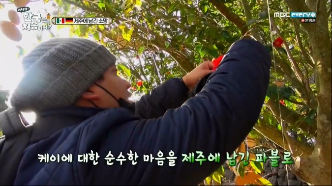 [어서와한국은처음이지] 극과 극인 독일과 멕시코가 제주도 여행을 같이 했을때ㅋㅋㅋㅋㅋㅋㅋㅋㅋ.JPG | 인스티즈