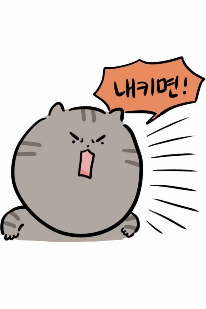 개와 고양이의 차이 | 인스티즈