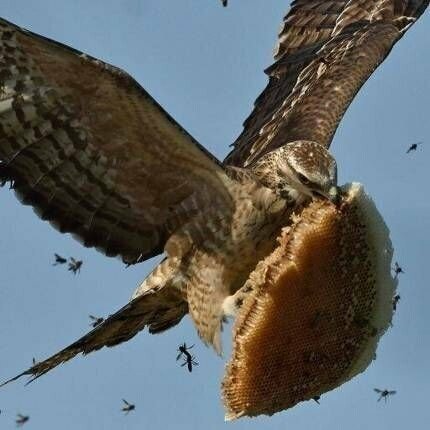 매형이 집가지고 나름 | 인스티즈