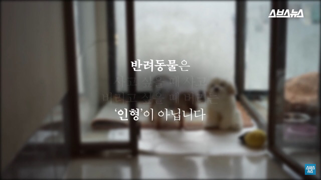  사람들이 홍대에서 인형을 뽑다 우는 이유는? | 인스티즈