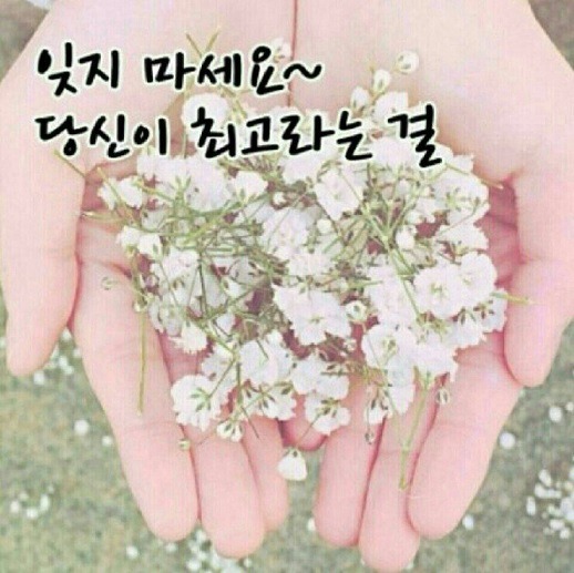 미화직업소개소 이미지