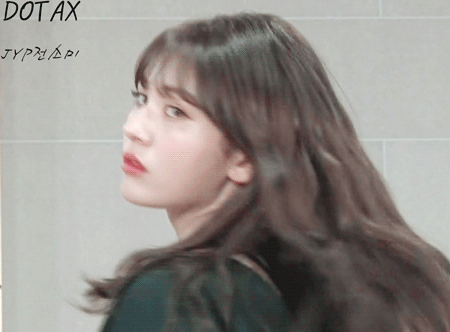 외국의 개 물림 방지법.JPG | 인스티즈