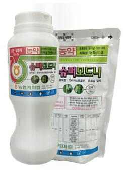 모드니 이미지