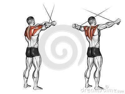 각 운동 방법에 따라 자극되는 근육 | 인스티즈