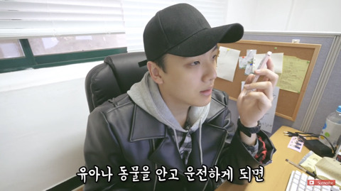 차에 탈때 강아지를 운전자가 안고 타거나 조수석에 아무런 장치 없이 태우면 도로교통법 위법 | 인스티즈