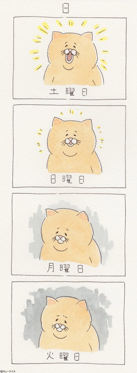 유감스러운 고양이 -3- | 인스티즈