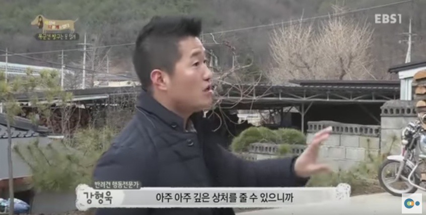 관리 못하겠으면 키우지도 마라 | 인스티즈