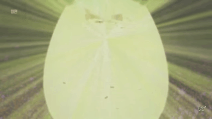 2000년대 디지몬 세대들 지리는 장면.gif | 인스티즈