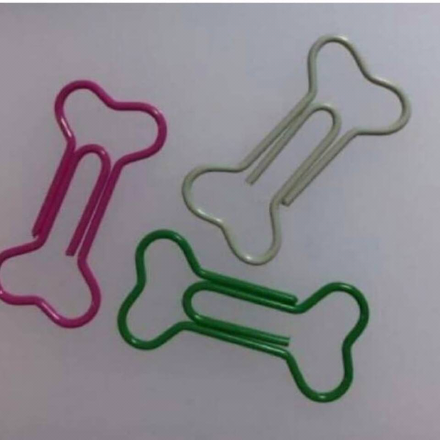 이뻐서 샀다가 망했습니다 | 인스티즈