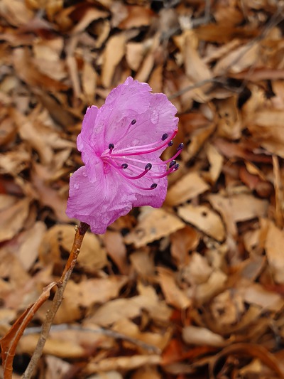 9970EC345C9F0D760AD0FA