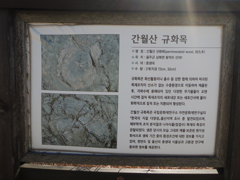 간월산자연휴양림 이미지
