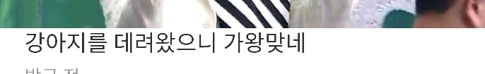 복면가왕 강형욱 영상 웃긴 댓글 | 인스티즈