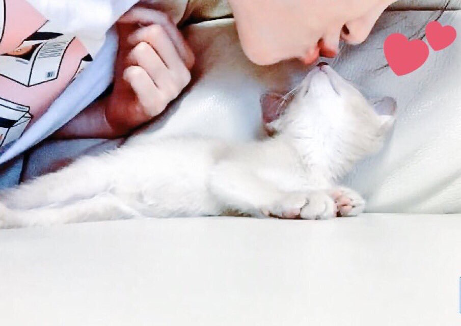 오늘자 고양이 생일파티 해준 전효성 ㅋㅋㅋㅋㅋㅋㅋㅋㅋ | 인스티즈
